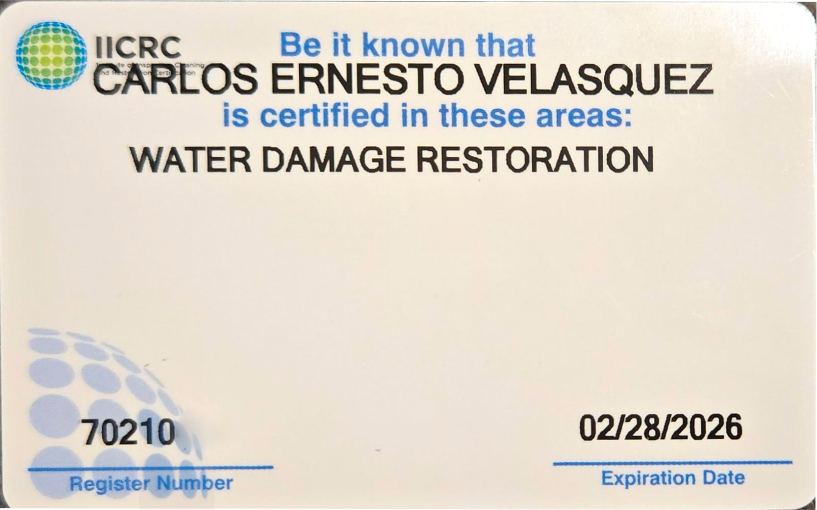 Illustration of the Enchanted Forest